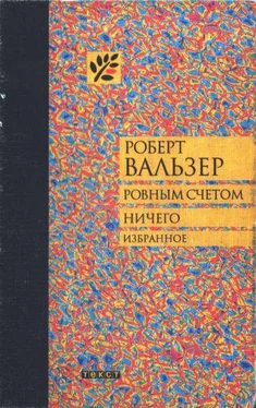 Роберт Вальзер Ровным счетом ничего обложка книги