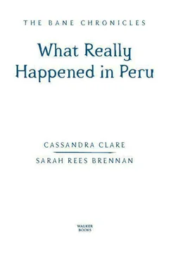 Clare Cassandra What Really Happened in Peru обложка книги