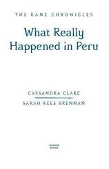 Clare Cassandra - What Really Happened in Peru