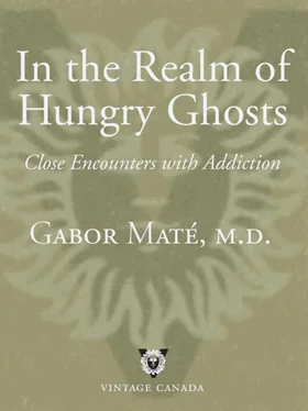 Gabor Maté In the Realm of Hungry Ghosts: Close Encounters with Addiction обложка книги