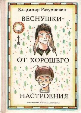 Владимир Разумневич Веснушки — от хорошего настроения обложка книги