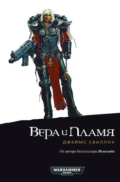 Джеймс Сваллоу Вера и пламя обложка книги