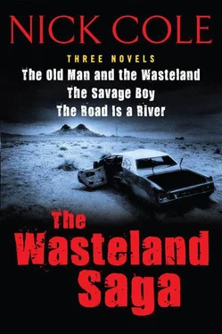 Nick Cole The Wasteland Saga обложка книги