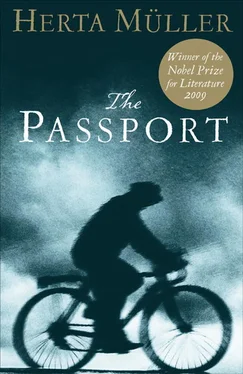 Herta Müller The Passport обложка книги