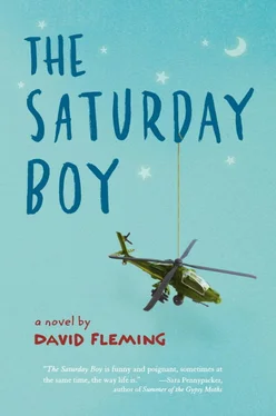 David Fleming The Saturday Boy обложка книги