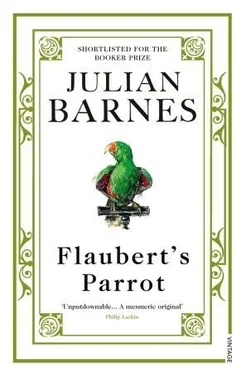 Julian Barnes Flaubert's Parrot обложка книги