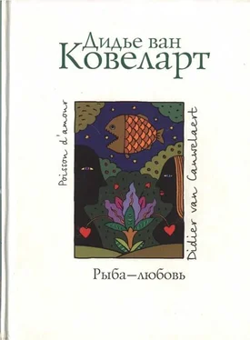 Дидье Ковелер Рыба - любовь обложка книги