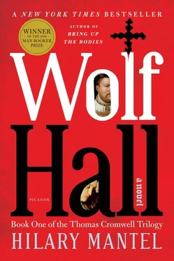 Hilary Mante Wolf Hall обложка книги