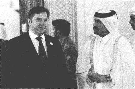 Министр энергетики РФ Сергей Шматко и министр нефти и энергетики Катара - фото 20
