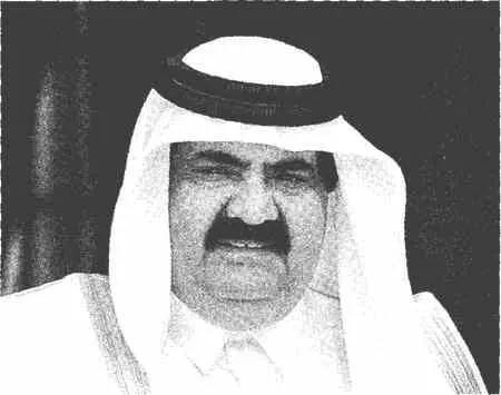 Шейх Хамад бин Халифа Аль Тани эмир Катара с 26 июня 1995 года Немаловажно - фото 25
