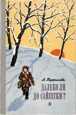 Анастасия Перфильева Далеко ли до Сайгатки? обложка книги