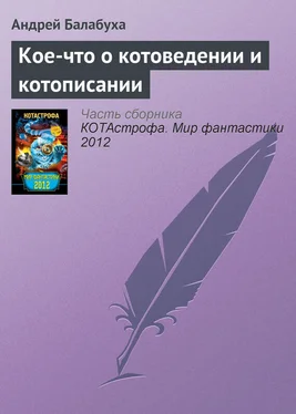 Андрей Балабуха Кое-что о котоведении и котописании обложка книги