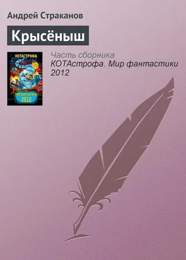Андрей Страканов Крысёныш обложка книги