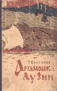 Гавриил Кунгуров Артамошка Лузин обложка книги