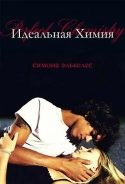 Симона Элькелес Идеальная химия обложка книги