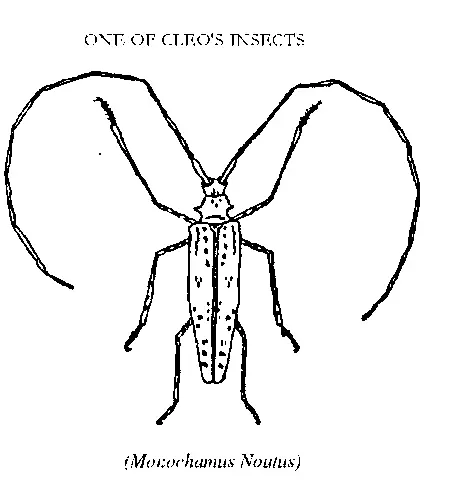 Insects I can see that I mean why are you showing me these Well you - фото 45