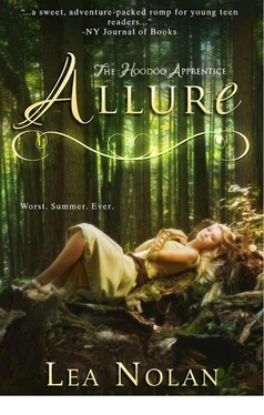 Lea Nolan Allure обложка книги