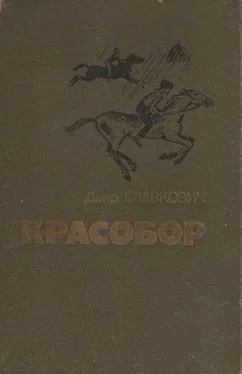 Даир Славкович Красобор обложка книги