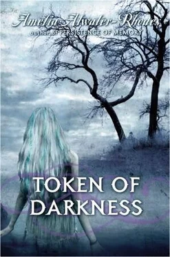 Amelia Atwater-Rhodes Token of Darkness обложка книги