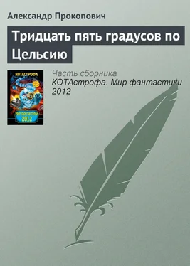 Александр Прокопович Тридцать пять градусов по Цельсию обложка книги