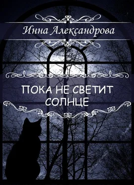 Инна Александрова Пока не светит солнце обложка книги