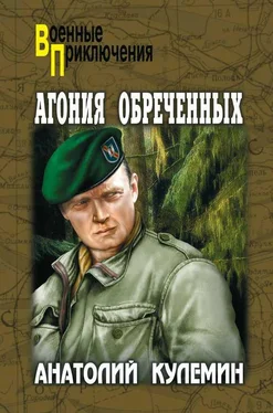 Анатолий Кулемин Агония обреченных обложка книги