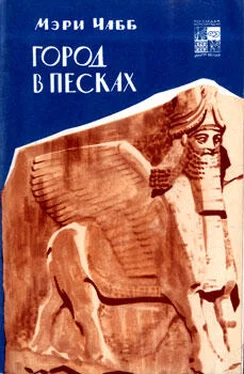 Мэри Чабб Город в песках обложка книги