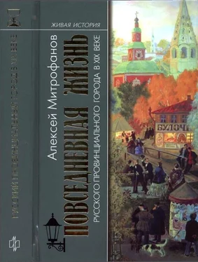 Алексей Митрофанов Повседневная жизнь русского провинциального города в XIX веке. Пореформенный период обложка книги