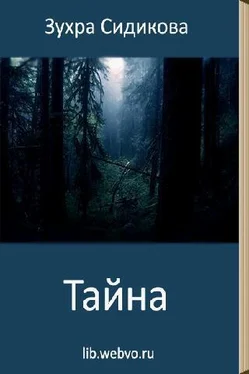 Зухра Сидикова Тайна обложка книги