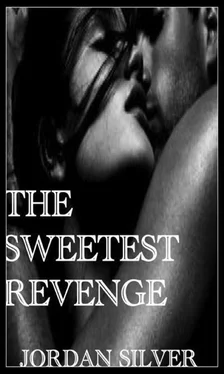Jordan Silver The Sweetest Revenge обложка книги