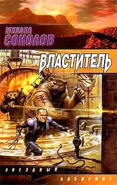 Михаил Соколов Властитель обложка книги