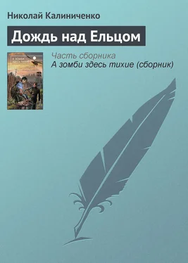 Николай Калиниченко Дождь над Ельцом обложка книги