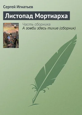 Сергей Игнатьев Листопад Мортиарха обложка книги
