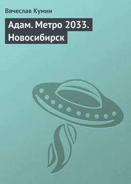 Вячеслав Кумин Адам. Метро 2033. Новосибирск обложка книги