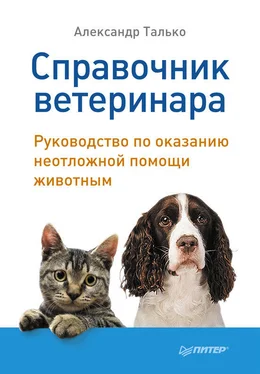 Александр Талько Справочник ветеринара. Руководство по оказанию неотложной помощи животным обложка книги