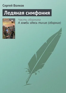 Сергей Волков Ледяная симфония обложка книги