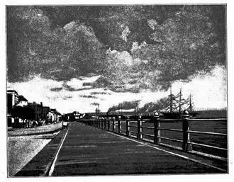 Der Quais von Charleston Der Hauptberichterstatter der Tribune war und blieb - фото 47