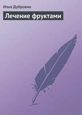 Илья Дубровин Лечение фруктами обложка книги