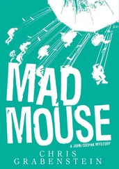 Chris Grabenstein - Mad Mouse