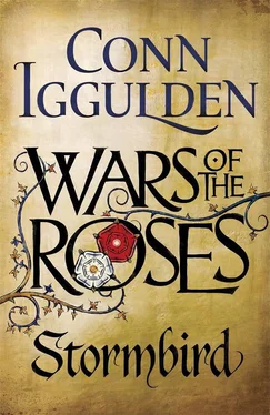 Conn Iggulden Stormbird обложка книги