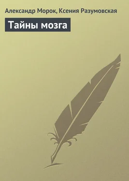 Александр Морок Тайны мозга обложка книги