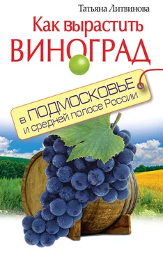 Татьяна Литвинова Как вырастить виноград в Подмосковье и средней полосе России обложка книги