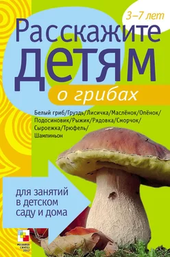 Э. Емельянова Расскажите детям о грибах обложка книги