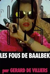 Жерар Вилье - Безумцы из Баальбека