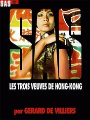 Жерар Вилье - Три вдовы из Гонконга