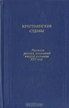 Николай Каронин-Петропавловский Несколько кольев обложка книги