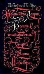 Роберто Пайро - Женитьба Лаучи