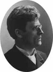 Кнут Гамсун - Борьба страстей