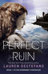 Lauren DeStefano - Perfect Ruin