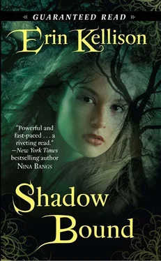 Erin Kellison Shadow Bound обложка книги